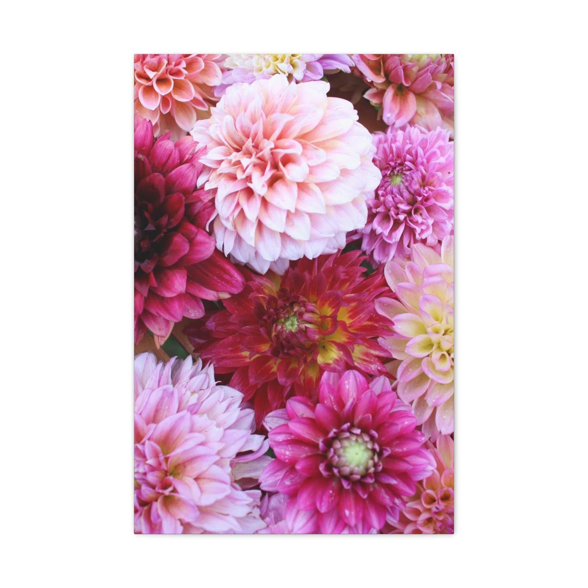 Dahlia Flat Lay Matte Canvas Print