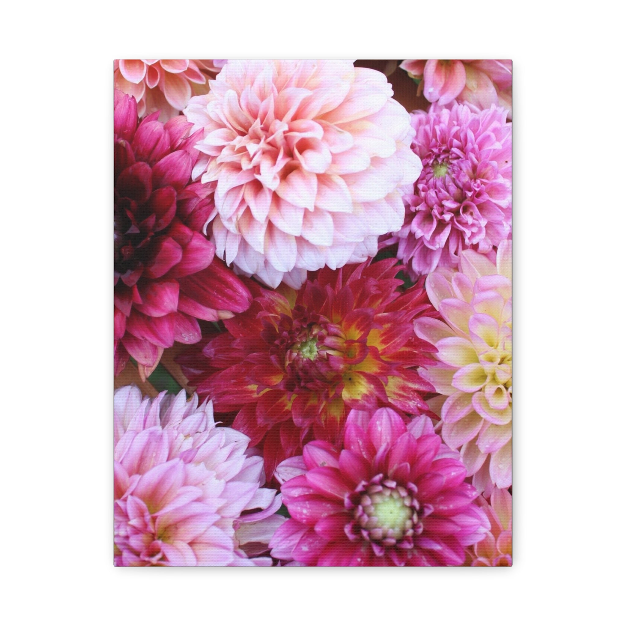 Dahlia Flat Lay Matte Canvas Print