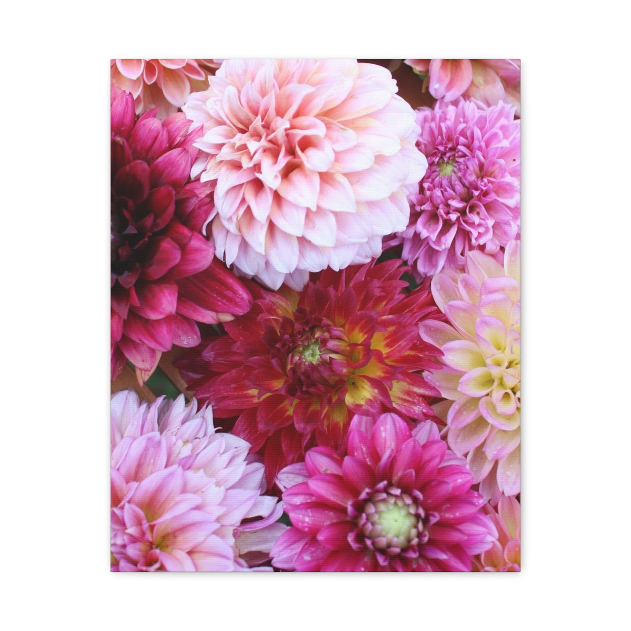 Dahlia Flat Lay Matte Canvas Print