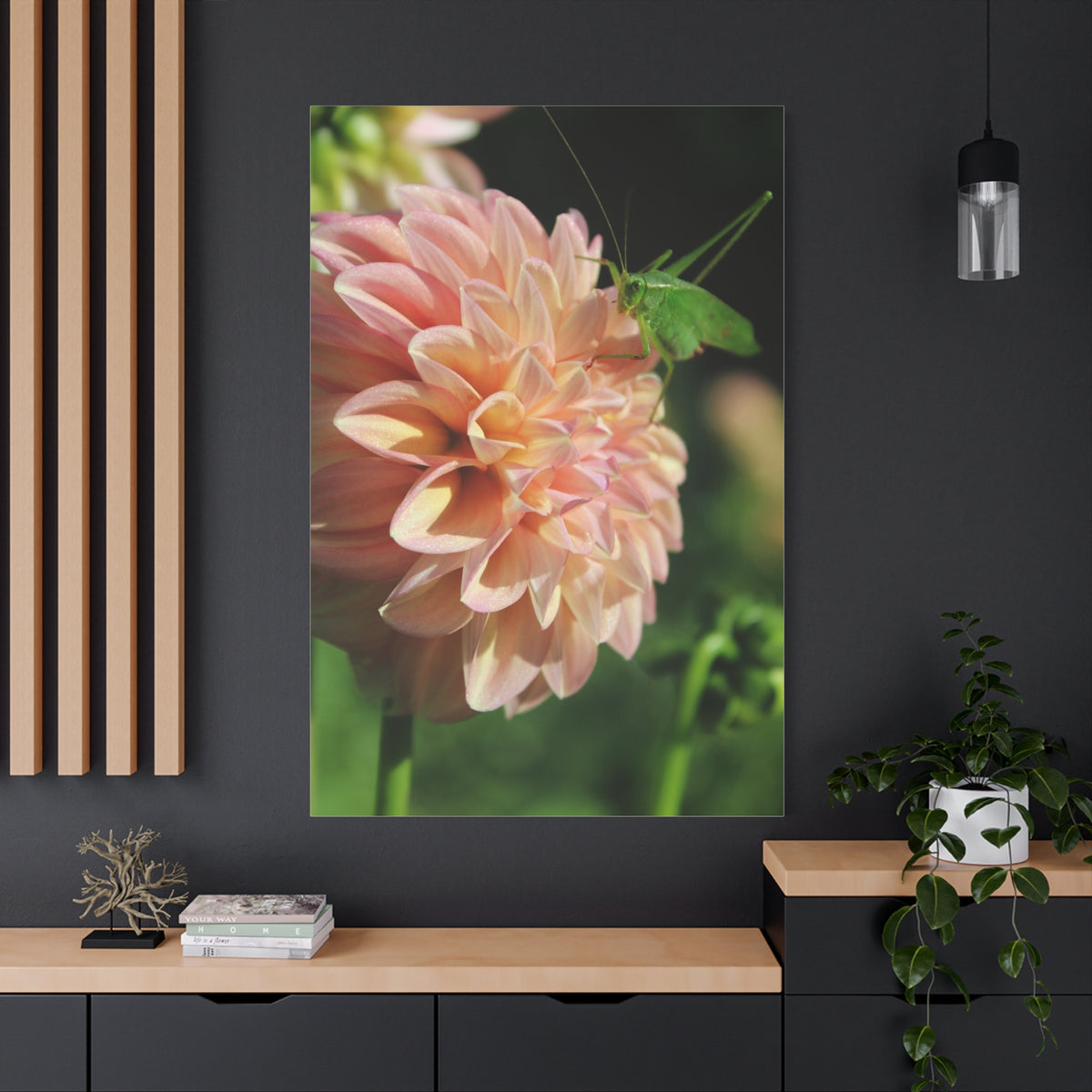 Dahlia and the Katydid