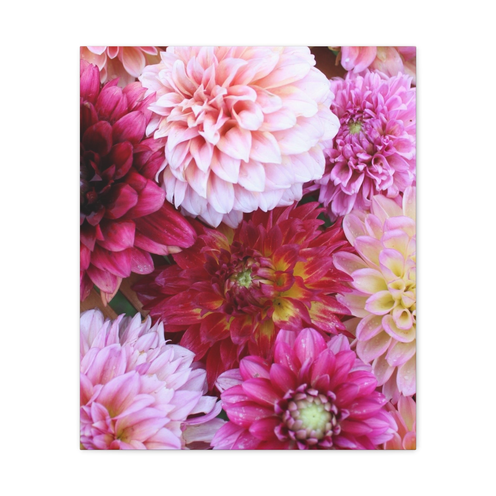 Dahlia Flat Lay Matte Canvas Print