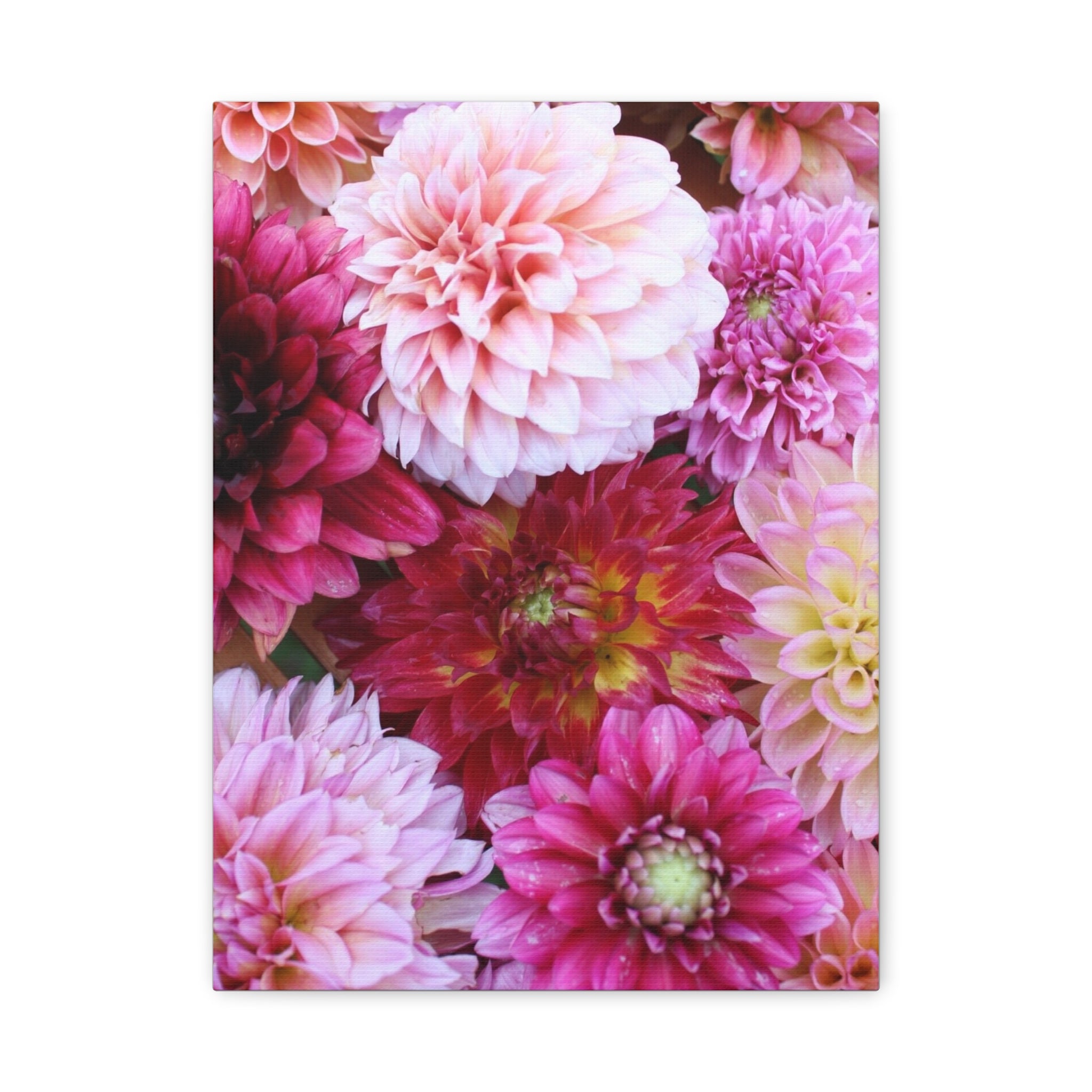 Dahlia Flat Lay Matte Canvas Print