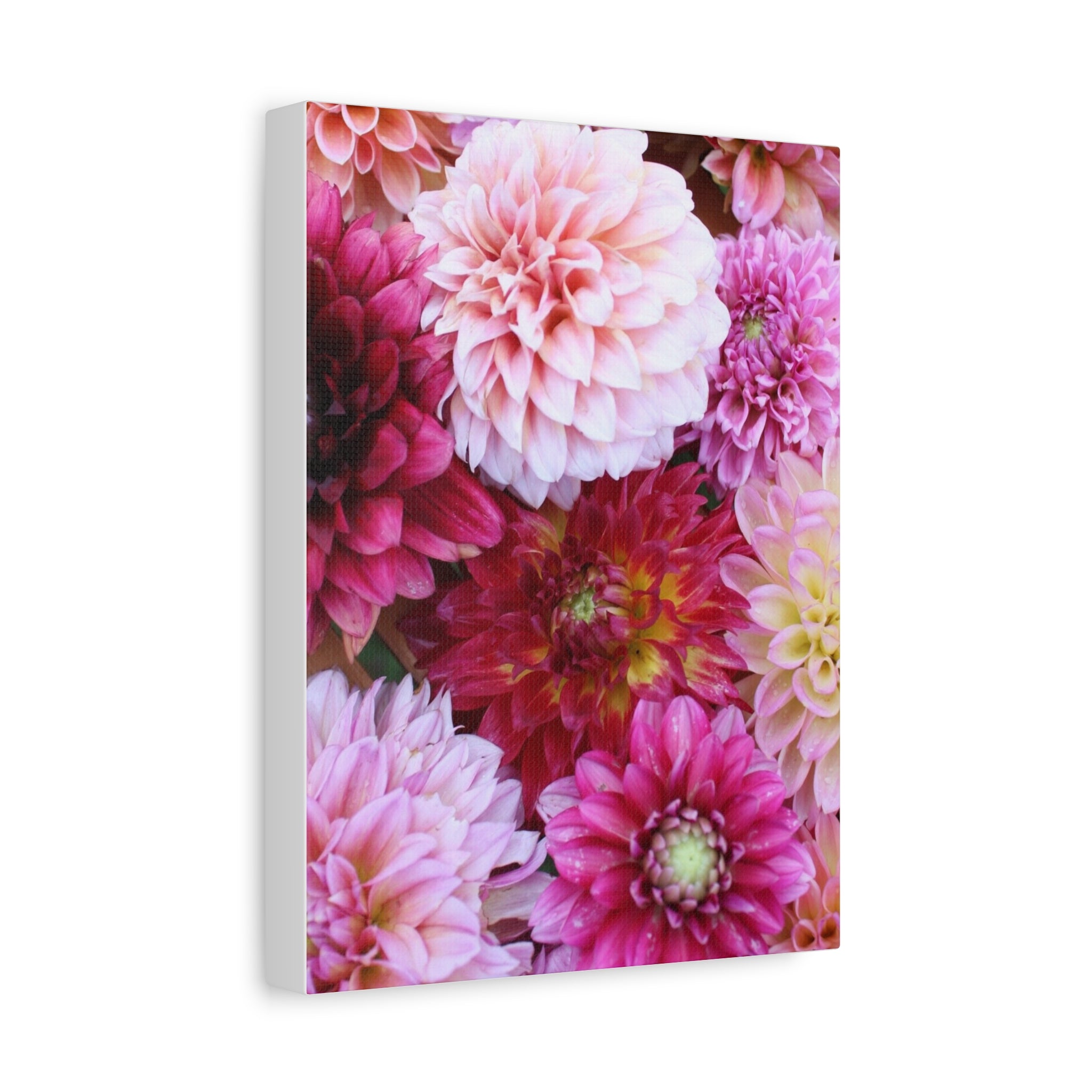 Dahlia Flat Lay Matte Canvas Print